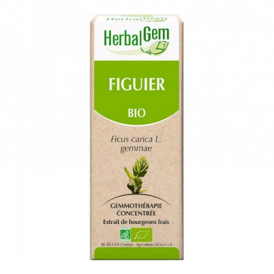 Macérat de Figuier - Concentré de bourgeons Bio - 15ml