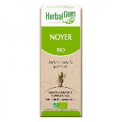 Macérat de Noyer - Concentré de bourgeons Bio - 15ml