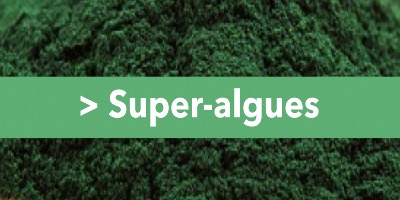 Super-algues : que choisir entre spiruline, curcuma et klamath ? 