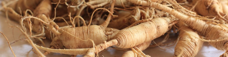 Ginseng Panax en Gouttes