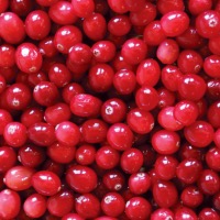Les bienfaits de la Canneberge (Cranberry) !