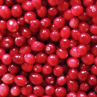 Les bienfaits de la Canneberge (Cranberry) ! 