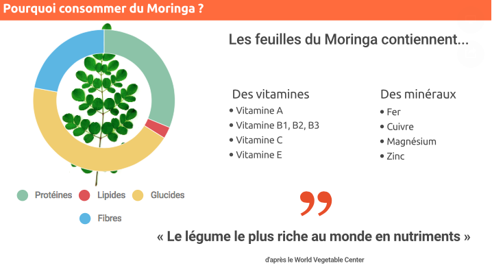 Pourquoi consommer du Moringa Oleifera ?