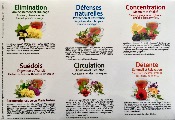 Coffret Les Infusions Bien-Etre aux Fleurs de Bach