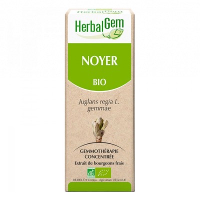 Macérat de Noyer - Concentré de bourgeons Bio - 15ml