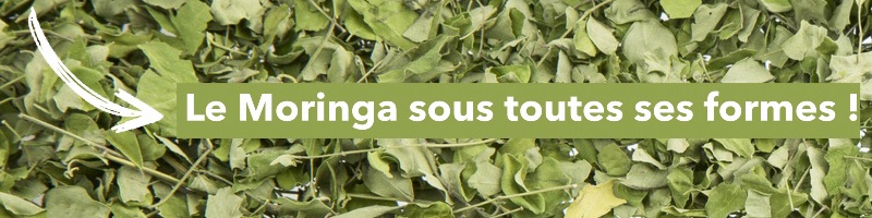 Le Moringa oleifera sous toutes ses formes 