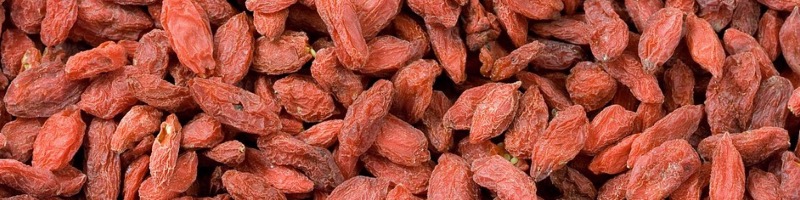 Baies de Goji Biologique et naturelles super-fruit