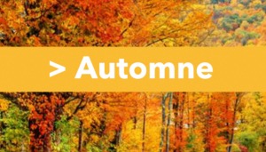 Dossier automne