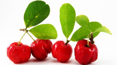 Baies d'Acerola riche en vitamine C naturelle - Le Super aliment vitalité