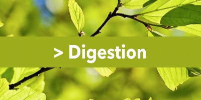 Dossier digestion