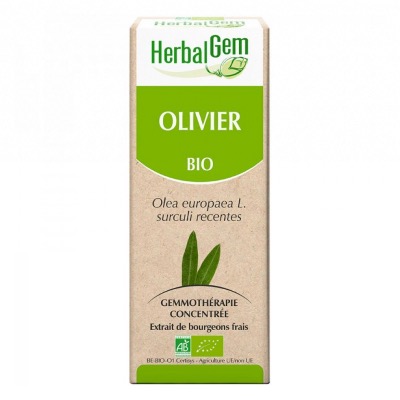 Macréat d'Olivier Bio - 15ml